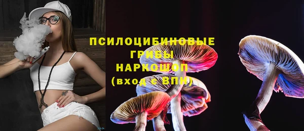 стаф Касимов