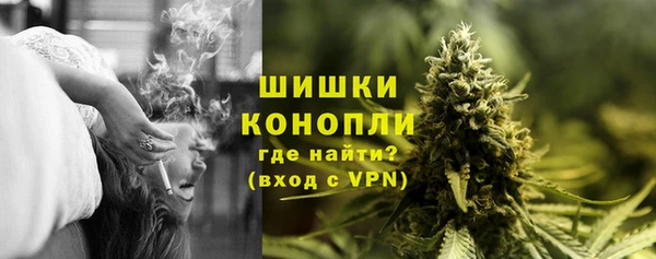 стаф Касимов