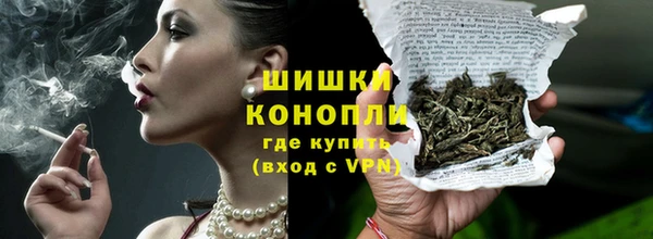 стаф Касимов