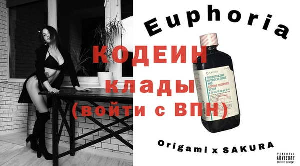 стаф Касимов