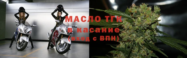 стаф Касимов