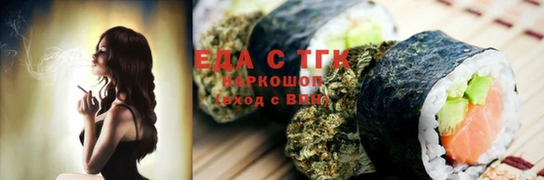 дмт Каменка
