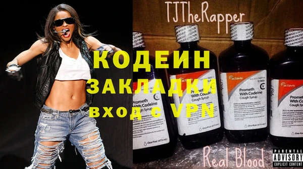 дмт Каменка
