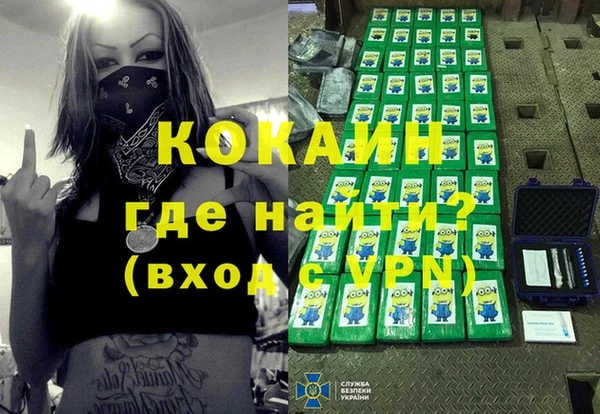 стаф Касимов
