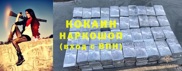 стаф Касимов