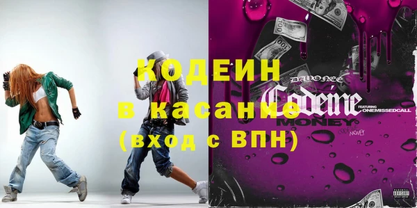 дмт Каменка