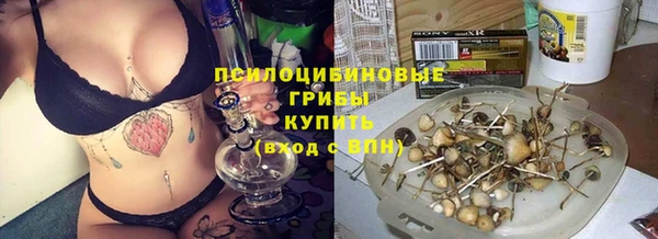 эйфоретик Карпинск