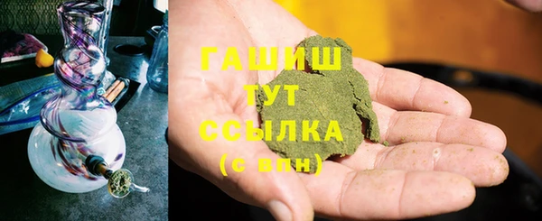 стаф Касимов
